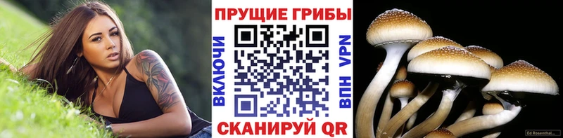 мориарти Telegram закладка kraken зеркало Калязин Галлюциногенные грибы Magic Shrooms